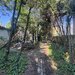 Gradina Icoanei Proprietate unica